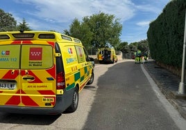 Herido grave un hombre tras morderle una víbora en su casa de Valdemorillo