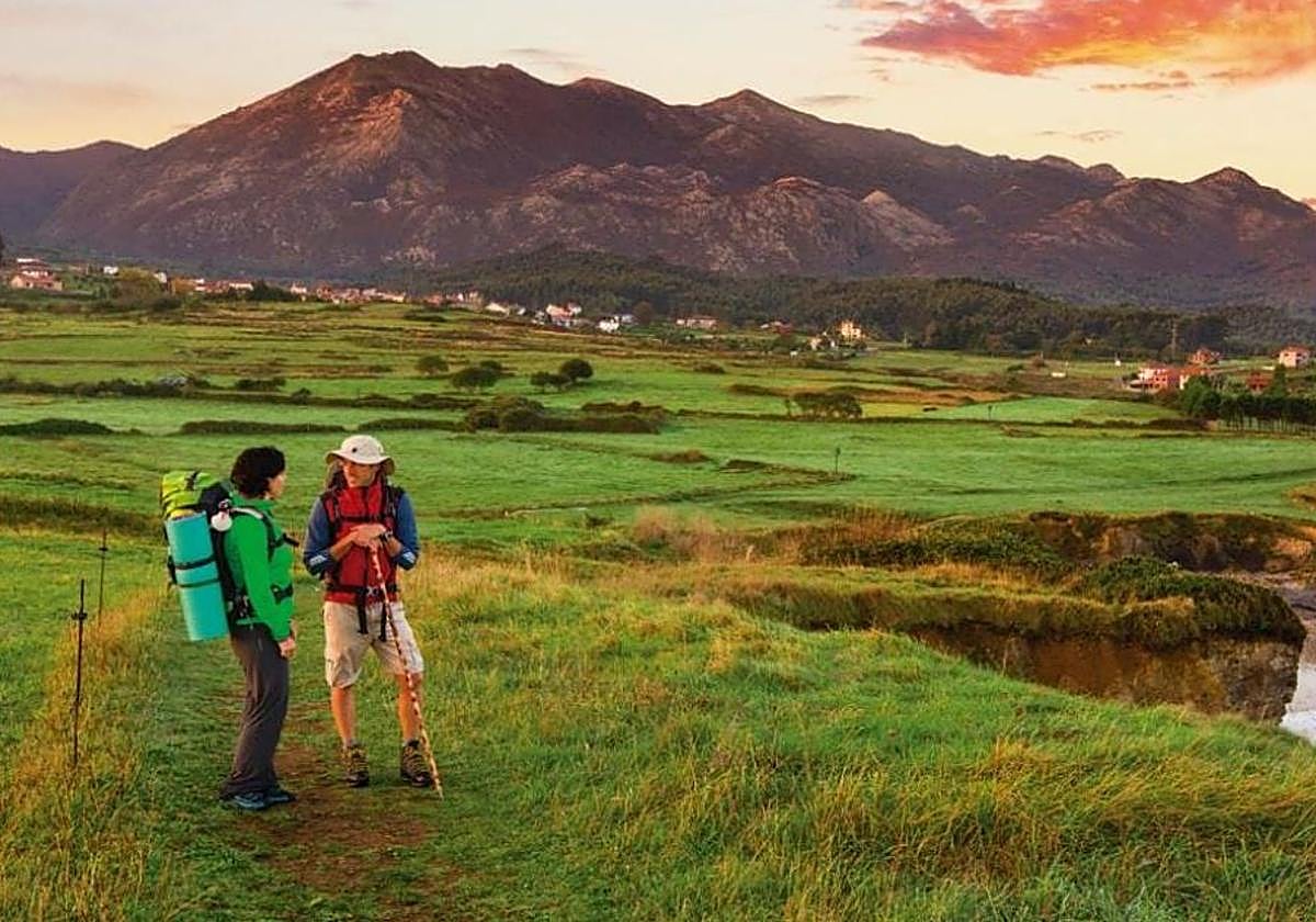 Consejo de Estado de Transportes y Movilidad Sostenibles