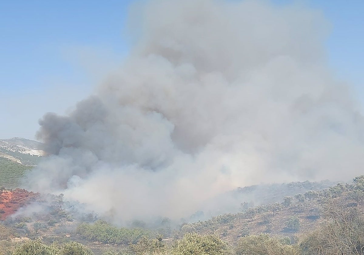 Imagen de la densa humareda que está provocando el incendio en Víznar