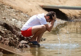 Córdoba vuelve a ponerse 'naranja' con máximas de hasta 42 grados este martes