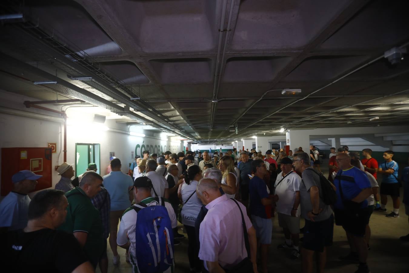 Las primeras y largas colas para renovar el abono del Córdoba CF, en imágenes