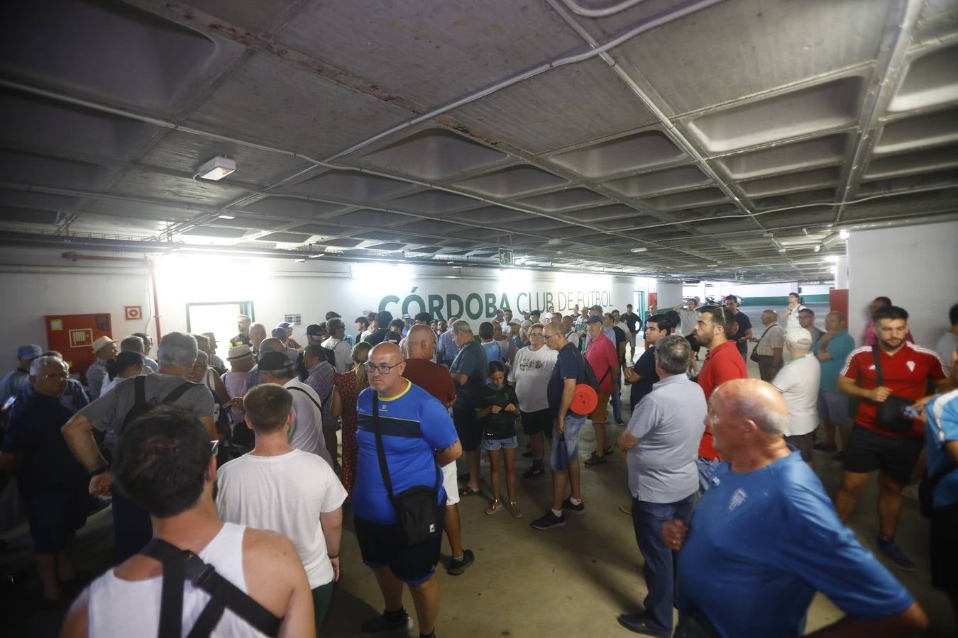 Las primeras y largas colas para renovar el abono del Córdoba CF, en imágenes