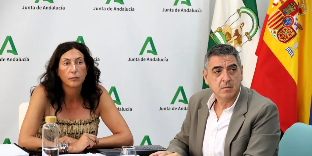Andalucía advierte de que 500 menores migrantes cumplirán en unos meses la mayoría de edad y colapsarán el sistema