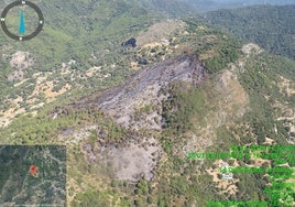 Estabilizan el incendio forestal declarado en Casares tras calcinar 25 hectáreas