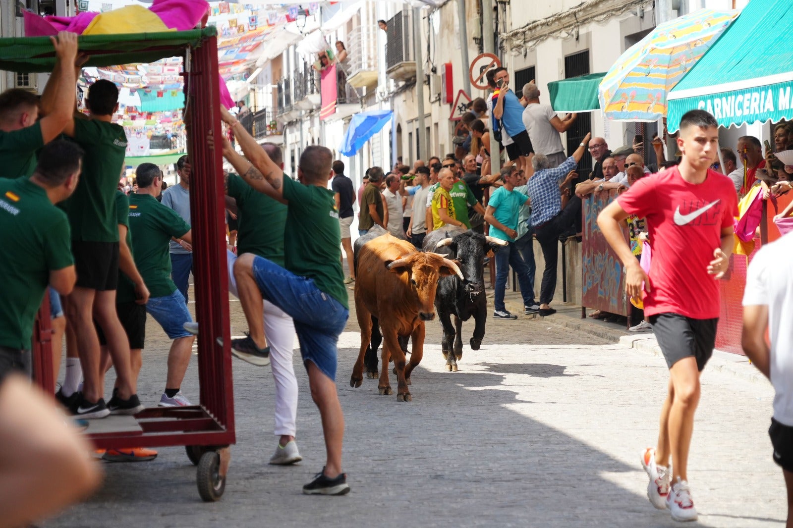 Las imágenes del primer encierro taurino de El Viso por Santa Ana