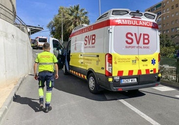 Un perro muerde en la cara a un niño de 10 años en Valencia