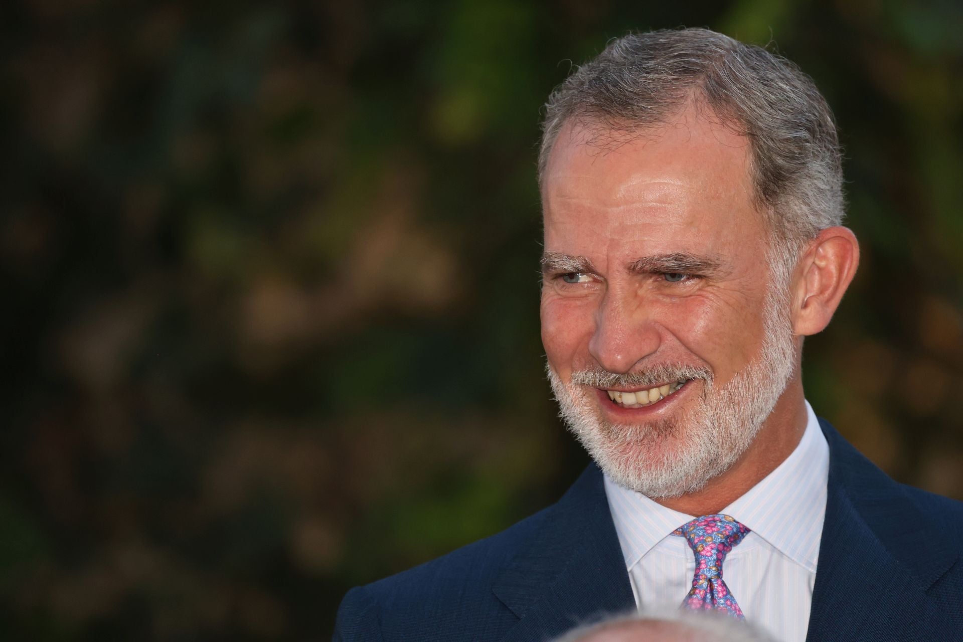 El Rey Felipe VI durante la recepción en Marivent