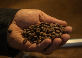 CUPRA Tavascan: Diseño y Tecnología al Servicio de la Electrificación