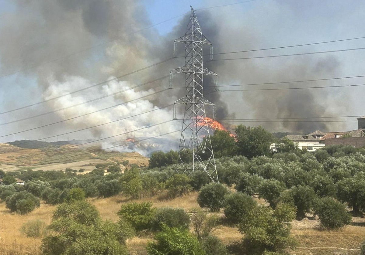 Incendio forestal declarado en la localidad de Loeches