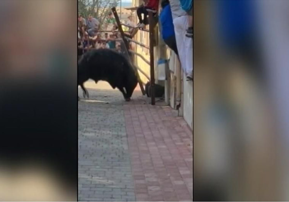 Captura de un vídeo de la cogida subido a las redes sociales