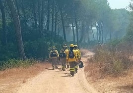 Declarado un incendio forestal en Cartaya, en cuya extinción ya trabajan efectivos del Infoca