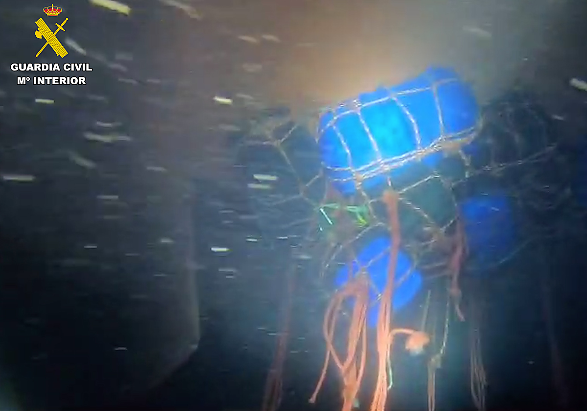 La droga estaba colgada de sacos estancos en el sistema de refrigeración