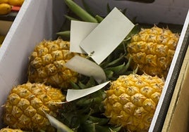 Descubren 600 kilos de cocaína escondidos entre toneladas de piña en Castellón