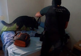 Desmantelan un narcopiso muy concurrido con comerciales y teléfono de atención al cliente en Valencia