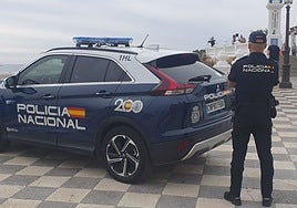 Detienen en Benidorm a una fugitiva de Turquía por ser miembro de una banda terrorista armada