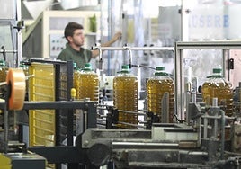 Córdoba supera los 370 millones de euros en exportaciones de aceite de oliva hasta mayo