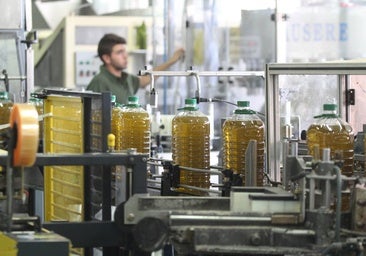 Córdoba supera 370 millones de euros en exportaciones de aceite de oliva