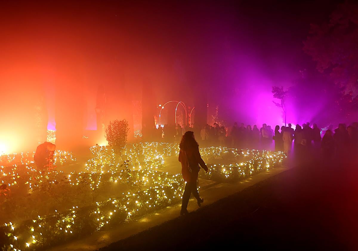 Imagen del espectáculo del Alcázar ofrecido por Letsgo