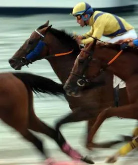 Imagen secundaria 2 - Algunas imágenes de las Carreras de Caballos de Sanlúcar de Barrameda