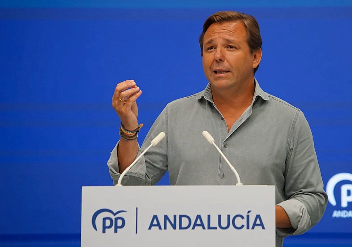 El secretario general del PP-A, Antonio Repullo