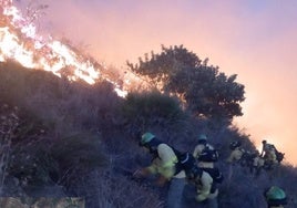 Un incendio en Almuñécar pone en jaque a 160 bomberos y obliga a evacuar a una mujer por inhalación de humo