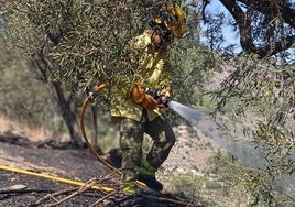 Acaba la pesadilla en Almuñécar: el incendio  de Peña Escrita ya está extinguido