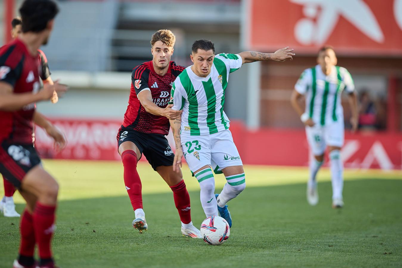 Fotos: el partido del Córdoba ante el Mirandés