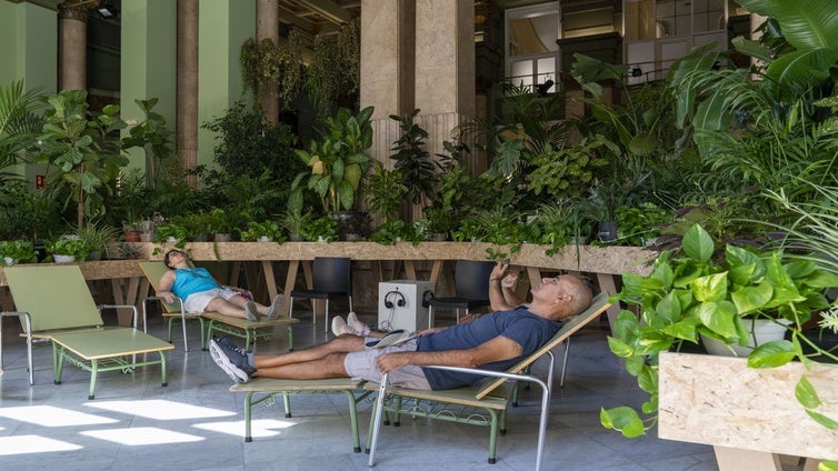 Una guardería secreta de plantas en el Círculo más bello de la calle Alcalá