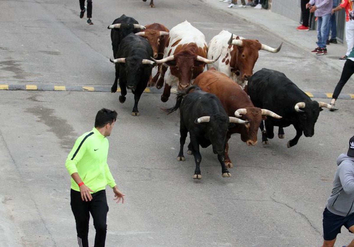 No faltan las citas taurinas en varios pueblos