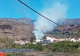 El incendio de Fataga (Gran Canaria) queda en un susto ante la contundencia de los servicios de extinción