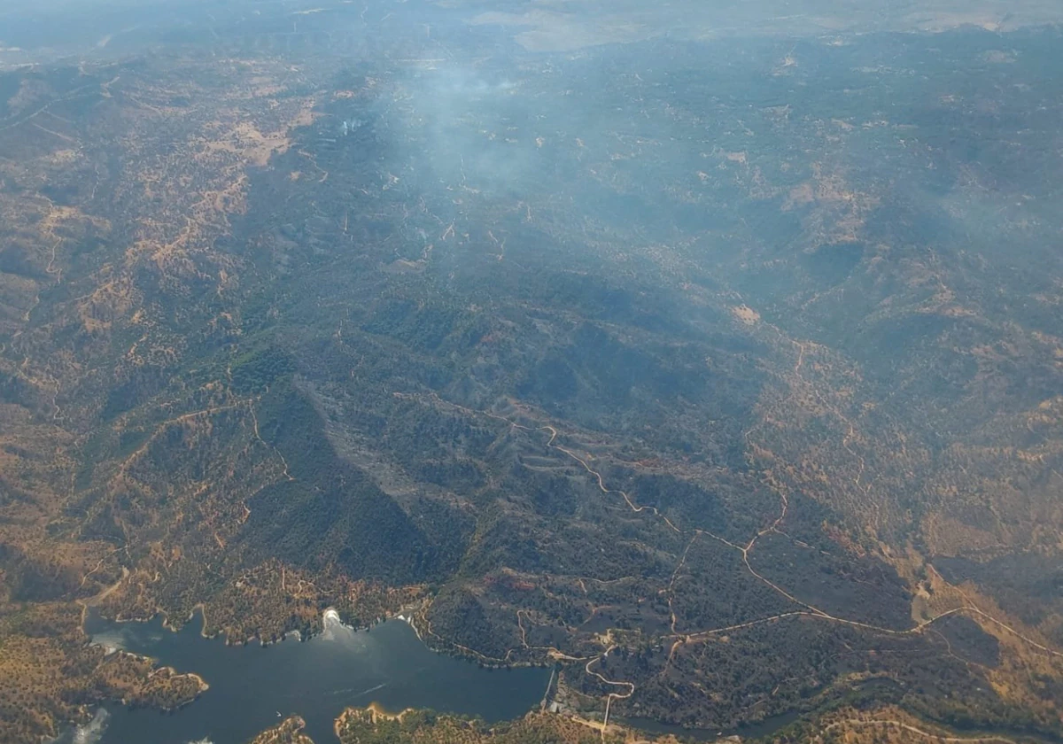 Área quemada vista desde el avión de coordinación