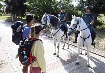 El Camino de Santiago contará con una unidad temporal de «guardianes equinos» a su paso por Burgos