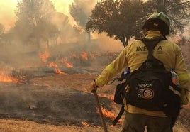 La factura ecológica del último incendio de Andújar