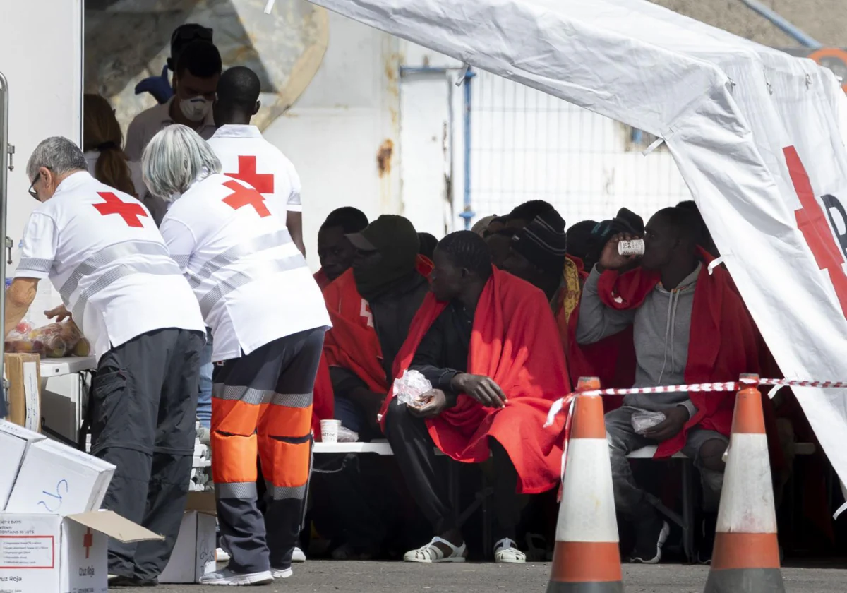 La Cruz Roja atiende a los inmigrantes llegados al puerto de Arguineguín, Gran Canaria