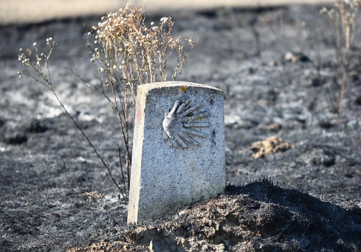 Libertad con cargos para el peregrino alemán detenido por provocar el mayor incendio de Castilla y León este verano