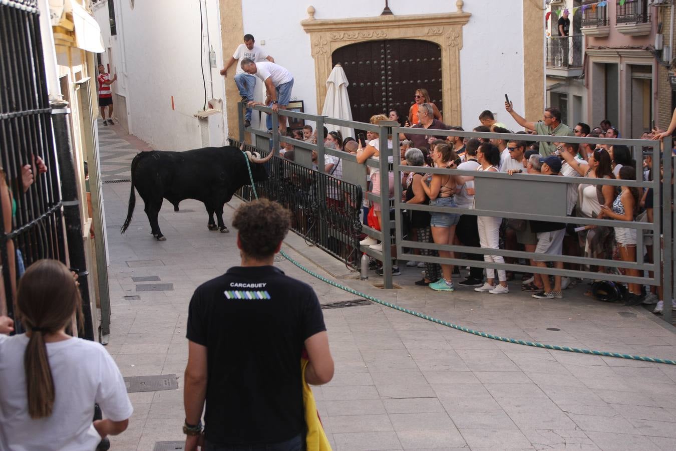 Fotos: la fiesta del Toro de Cuerda de Carcabuey