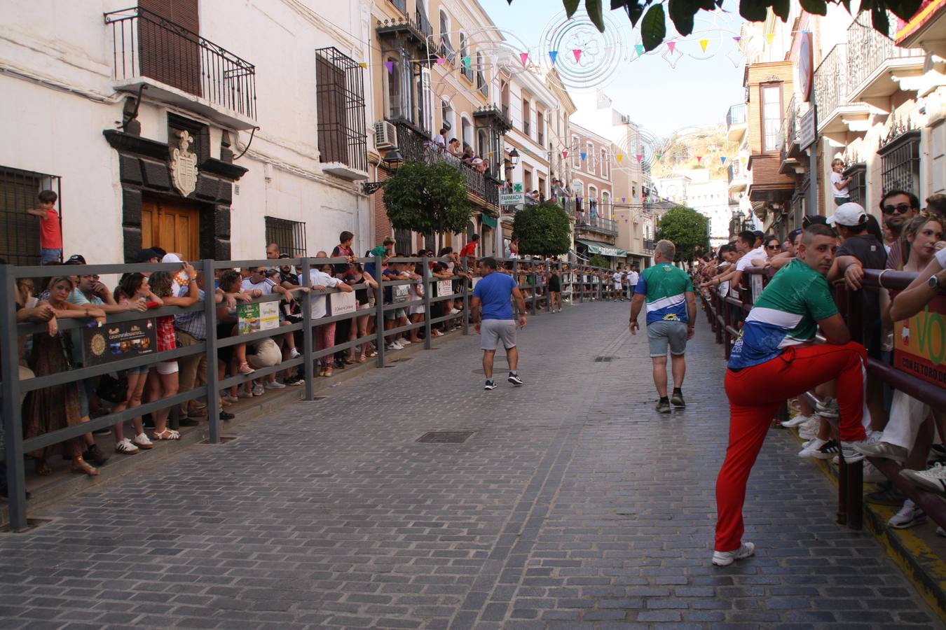 Fotos: la fiesta del Toro de Cuerda de Carcabuey