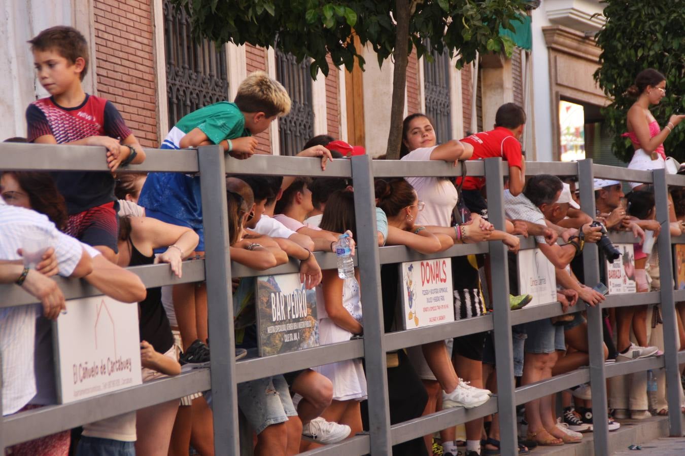 Fotos: la fiesta del Toro de Cuerda de Carcabuey