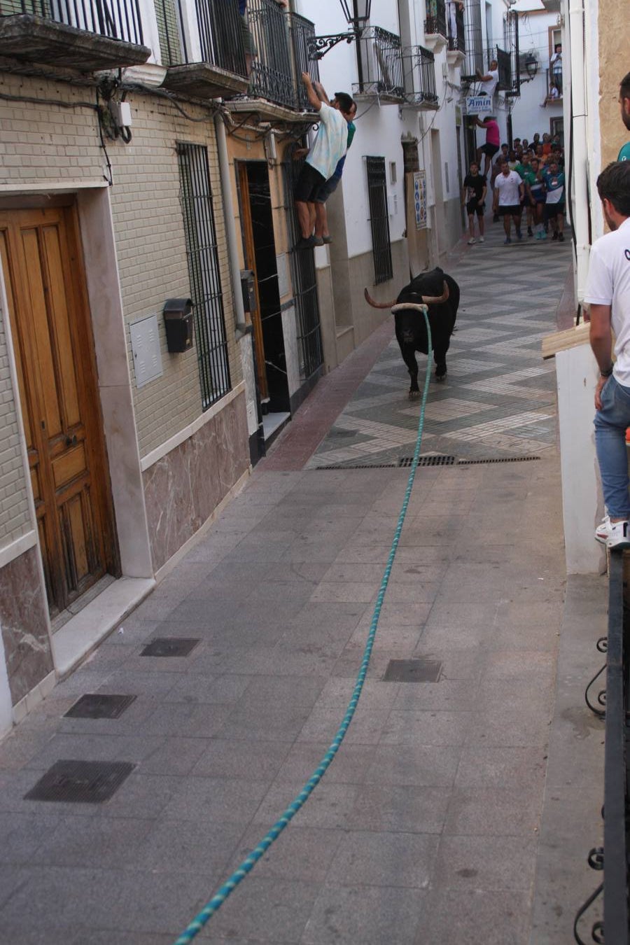 Fotos: la fiesta del Toro de Cuerda de Carcabuey