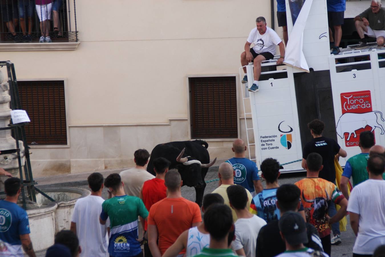 Fotos: la fiesta del Toro de Cuerda de Carcabuey