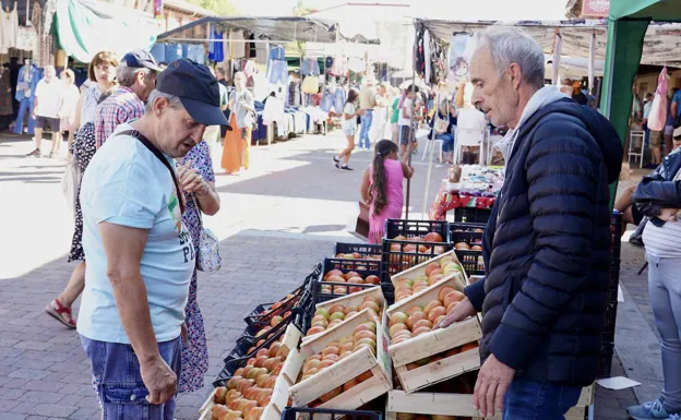 Celebración de la XXV edición de la Feria del Tomate de Mansilla de las Mulas