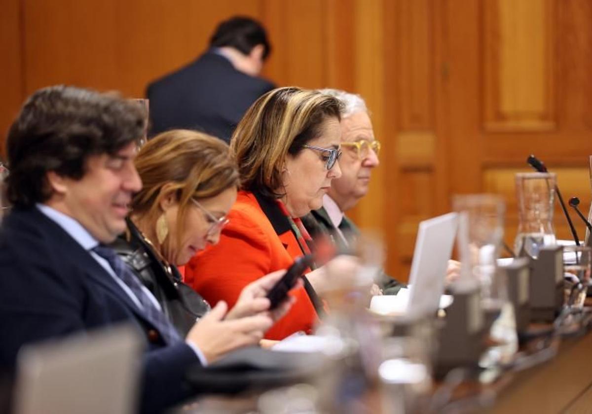 La teniente de alcalde de Economía y Hacienda, Blanca Torrent, durante un pleno municipall