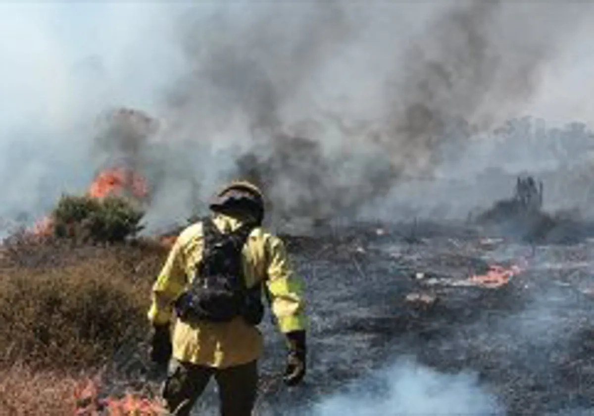 Extinguen el incendio de La Parra de las Vegas (Cuenca) en el que se han desplegado 78 efectivos