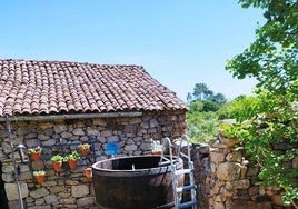 Una pareja de turistas se marcha de una casa rural en Galicia por el canto de un gallo: «No nos dejó dormir»