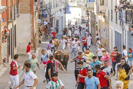 Herido un varón de 80 años al caer de las talanqueras a causa del impacto de un toro en el último encierro de Cuéllar