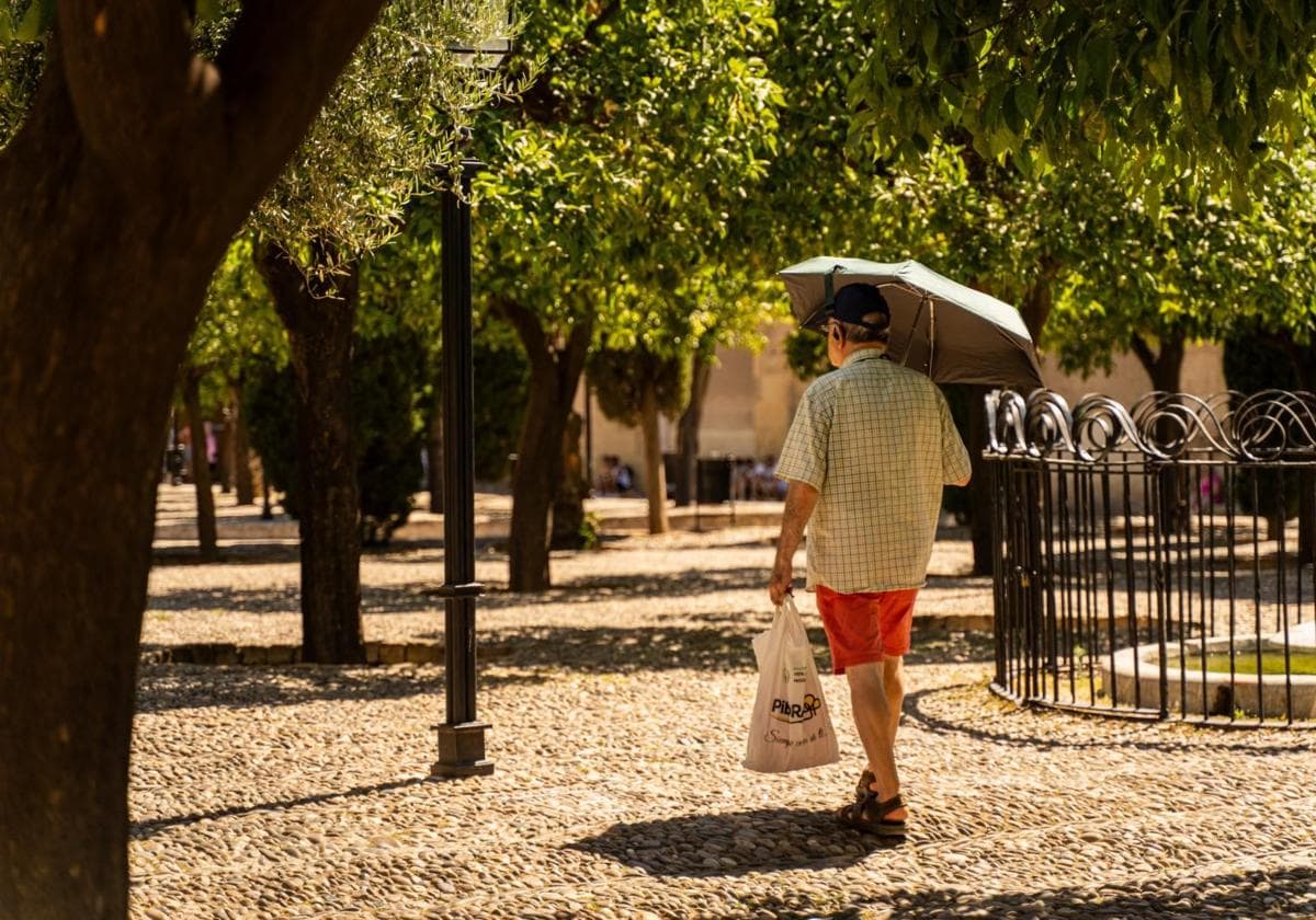 Un cordobés se protege del sol con un paraguas en el Patio de los Naranjos