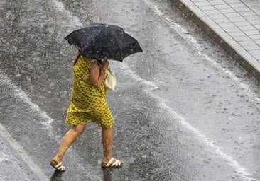 Una impresionante tormenta derriba árboles y deja varias calles anegadas en Burgos