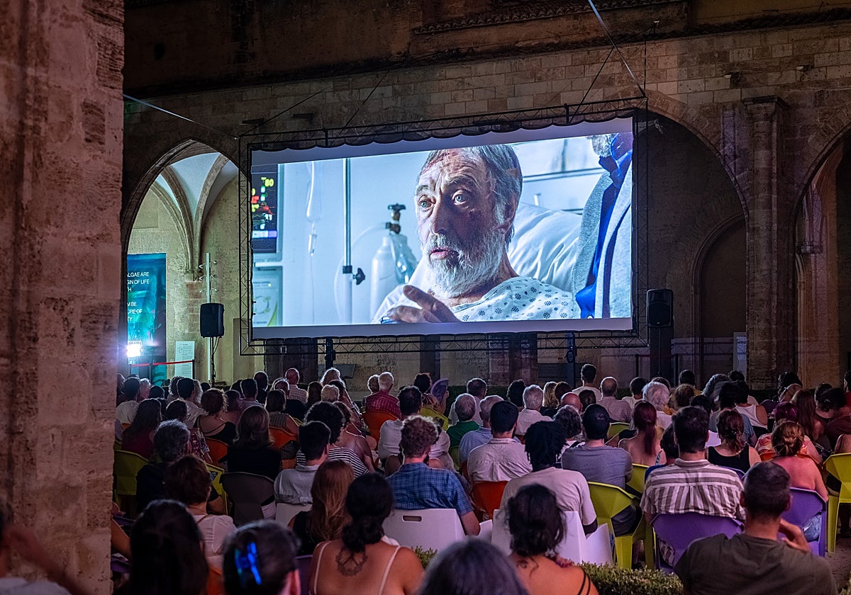 Imagen de Cinema d'Estiu del Centre del Carme de Valencia