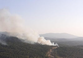 Detenido un bombero voluntario por prender fuegos para sentirse «útil»