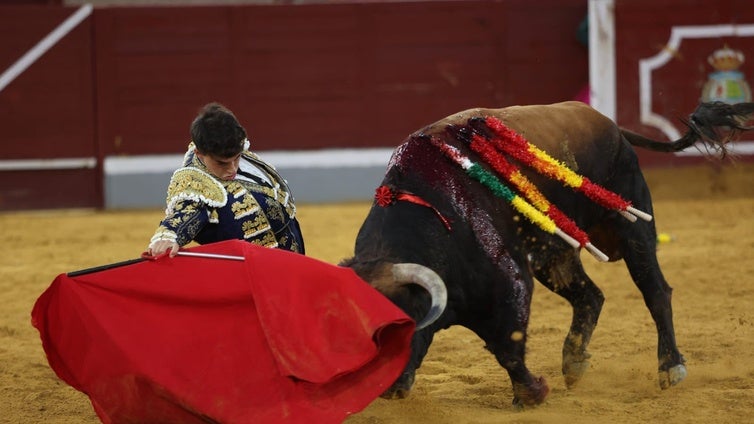 Alejandro Chicharro y Villaseca, la historia de triunfo se repite